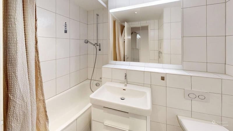 Rêve de penthouse 5.5 pièces à Berne (9)