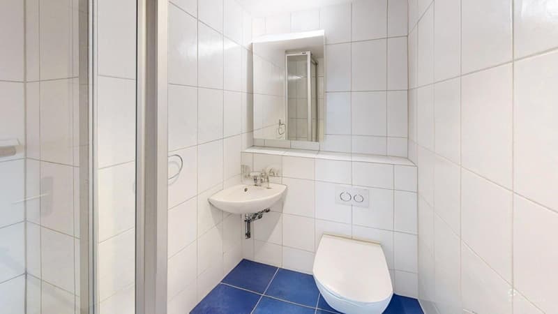 Rêve de penthouse 5.5 pièces à Berne (8)