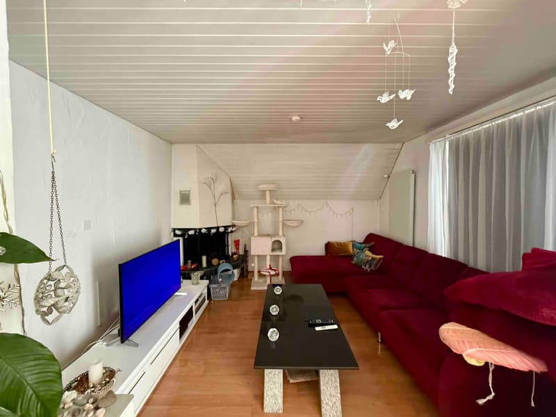 6.5-Zimmer-Haus mit Gewerbeanteil in Zuchwil kaufen (5)