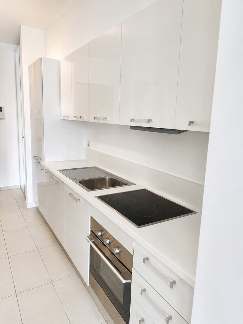 MONO VICINO AL LAGO A LUGANO | RENDIMENTO BNB CIRCA 12% (3)