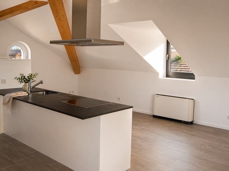 ATTICO MANSARDATO 3.5 LOCALI CON COMFORT MODERNI |BELLINZONA (3)