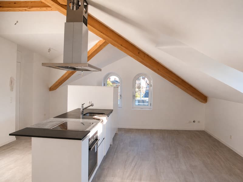 ATTICO MANSARDATO 3.5 LOCALI CON COMFORT MODERNI |BELLINZONA (1)