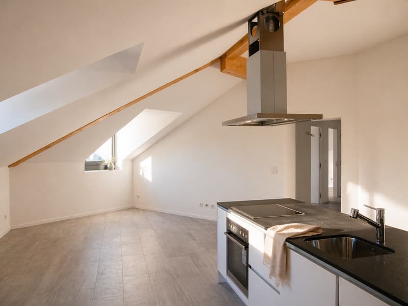 ATTICO MANSARDATO 3.5 LOCALI CON COMFORT MODERNI |BELLINZONA (2)