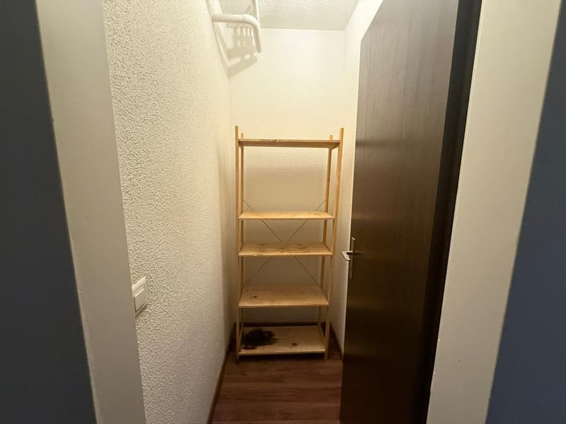 Charming 3.5-room apartment in Brunnen – available for immediate occupancy (13)