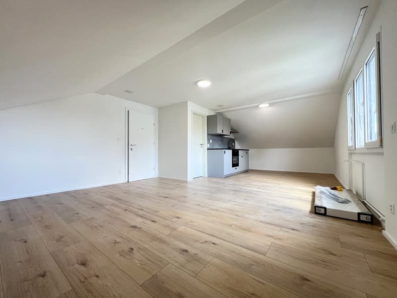 Two multi-family houses in Grenchen – attractive capital investment with 5.3% net return (9)
