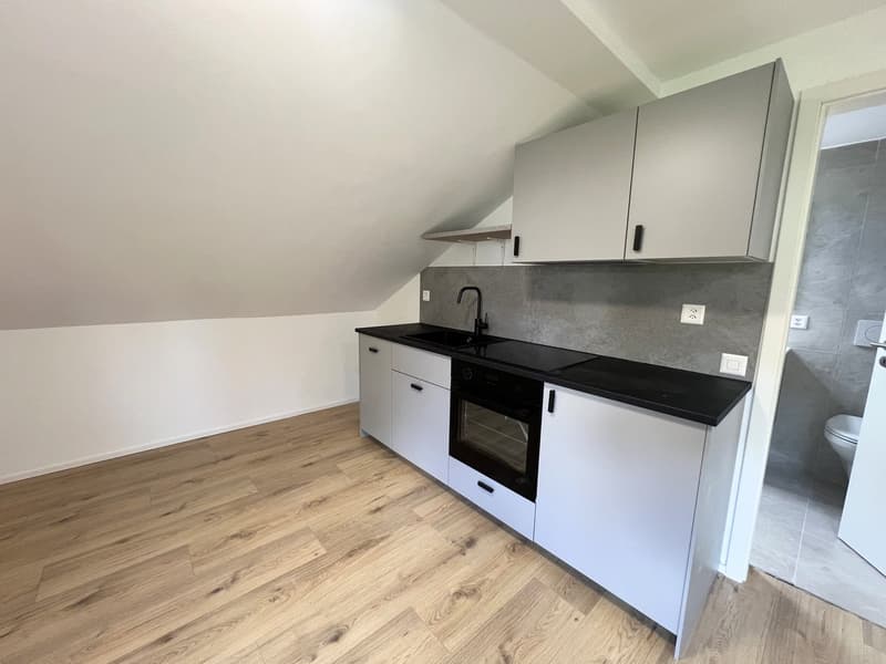 Two multi-family houses in Grenchen – attractive capital investment with 5.3% net return (8)