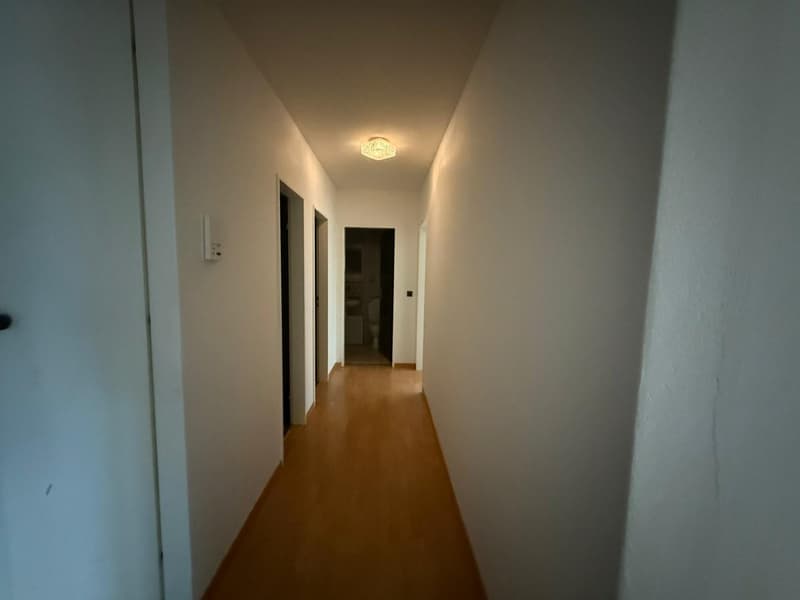 Charmante 3.5-Zimmer-Wohnung in Brunnen – sofort bezugsbereit (7)