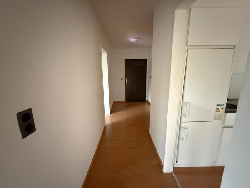 Charmante 3.5-Zimmer-Wohnung in Brunnen – sofort bezugsbereit (10)