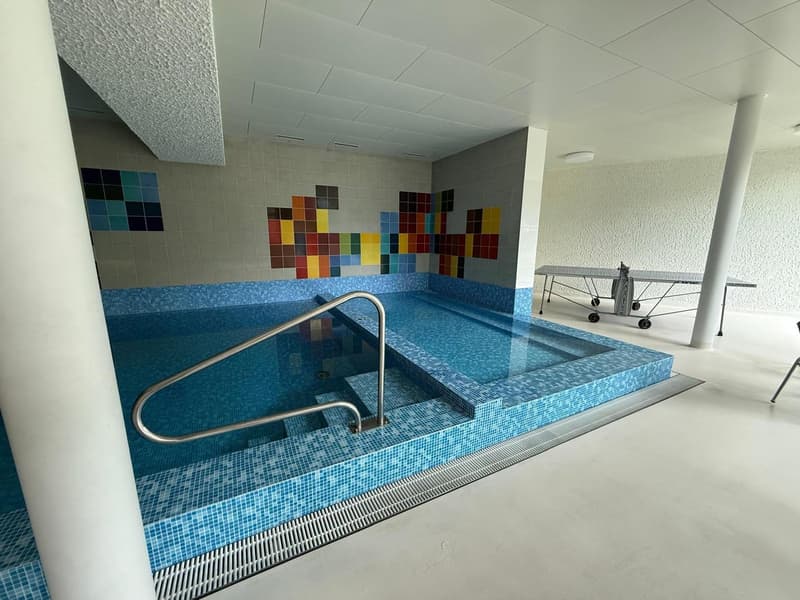 Charmante 3.5-Zimmer-Wohnung in Brunnen – sofort bezugsbereit (15)