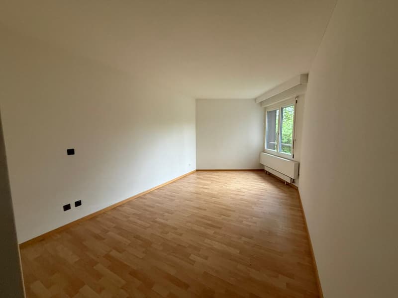 Charmante 3.5-Zimmer-Wohnung in Brunnen – sofort bezugsbereit (6)