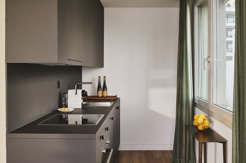 Apartments mit Designer Möblierung und voller Seesicht in Horgen/Zürich/Zug/Pfäffikon. (6)