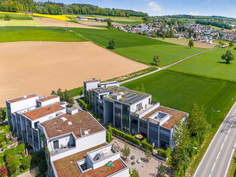 Appartamento moderno di 4,5 locali al piano terra con giardino di rose privato (14)