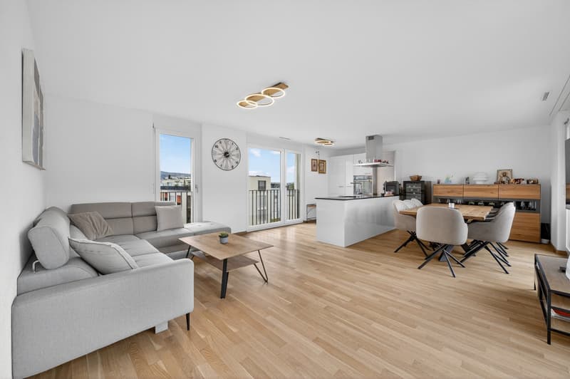 BIJOU - 2.5-room attic apartment just outside Zurich (2)