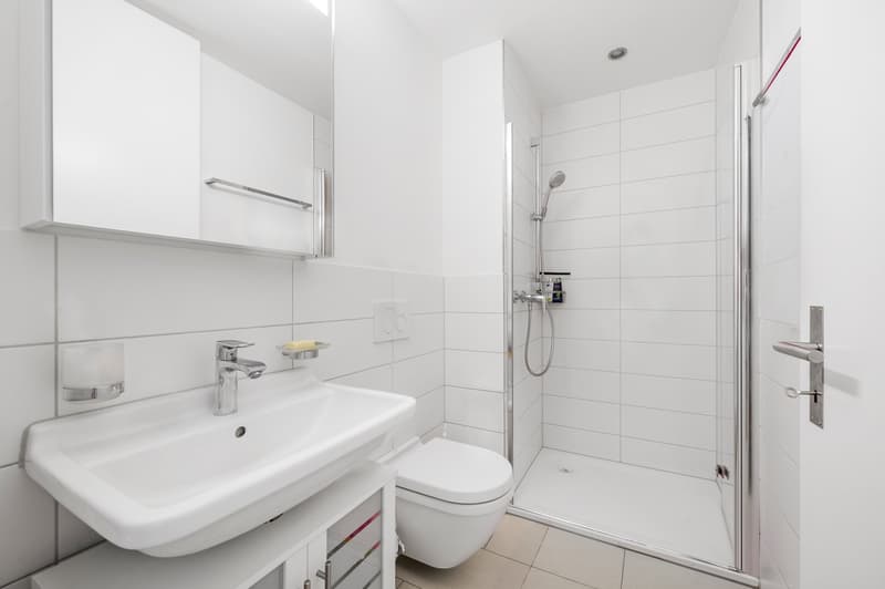Moderne 4.5-Zimmer-Erdgeschosswohnung mit eigenem Rosengarten (6)