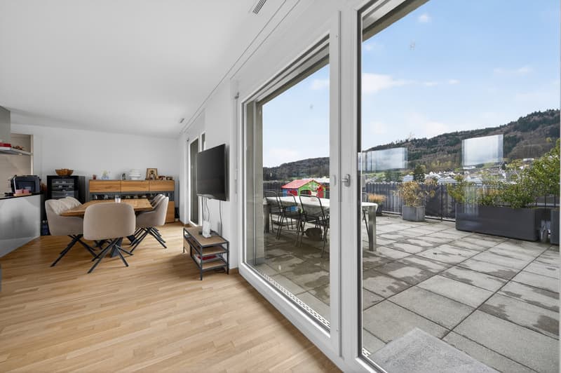BIJOU - 2.5-Zimmer-Attikawohnung vor den Toren Zürichs (4)