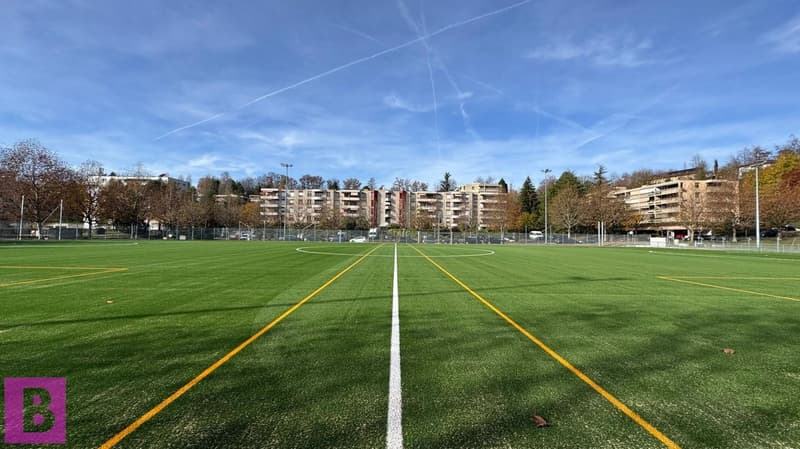 Gewerbeverkauf im Herzen von Ecublens (5)