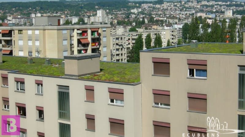 Gewerbeverkauf im Herzen von Ecublens (3)