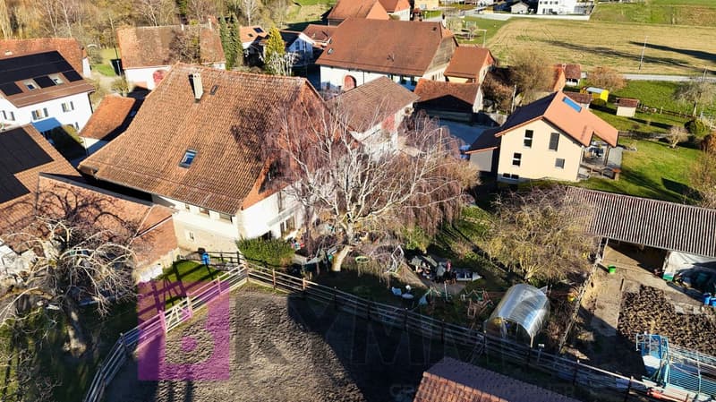 Magnifique ferme équestre rénovée – 3 appartements – Ogens (VD) (1)