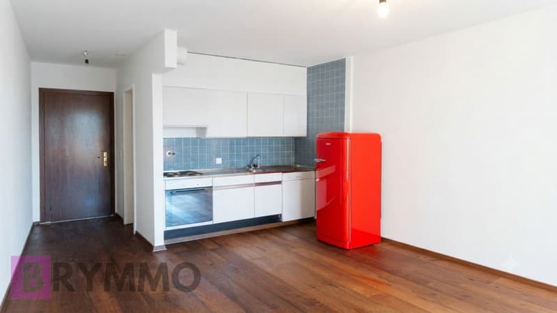 Pépite au cœur de Lausanne : Studio avec grand balcon & piscine (2)