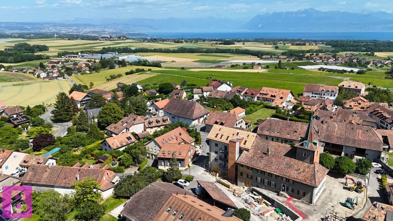 Esprit maison pour ce superbe triplex familial de 4 chambres à Yens (14)
