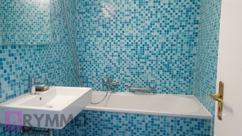 Pépite au cœur de Lausanne : Studio avec grand balcon & piscine (6)