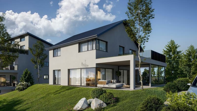 Detached New Build Single-Family House (1)