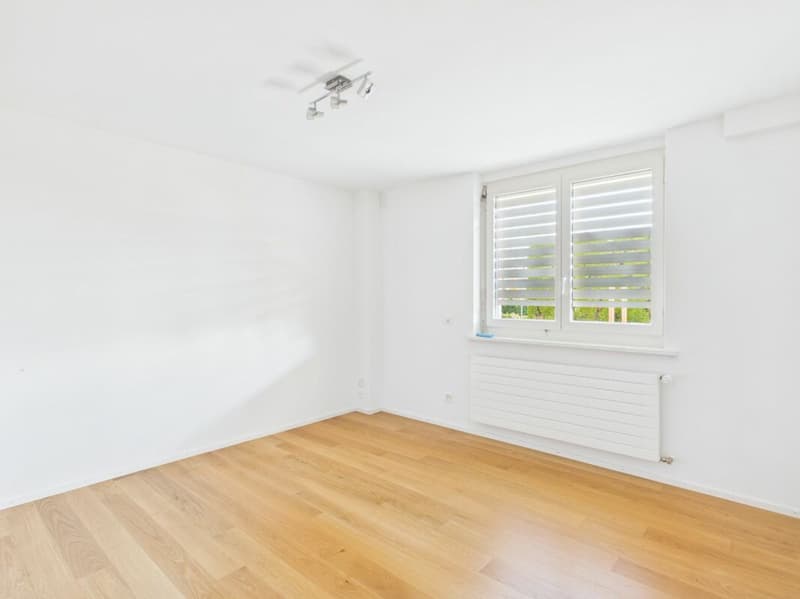 Detached single-family house to unfold (12)