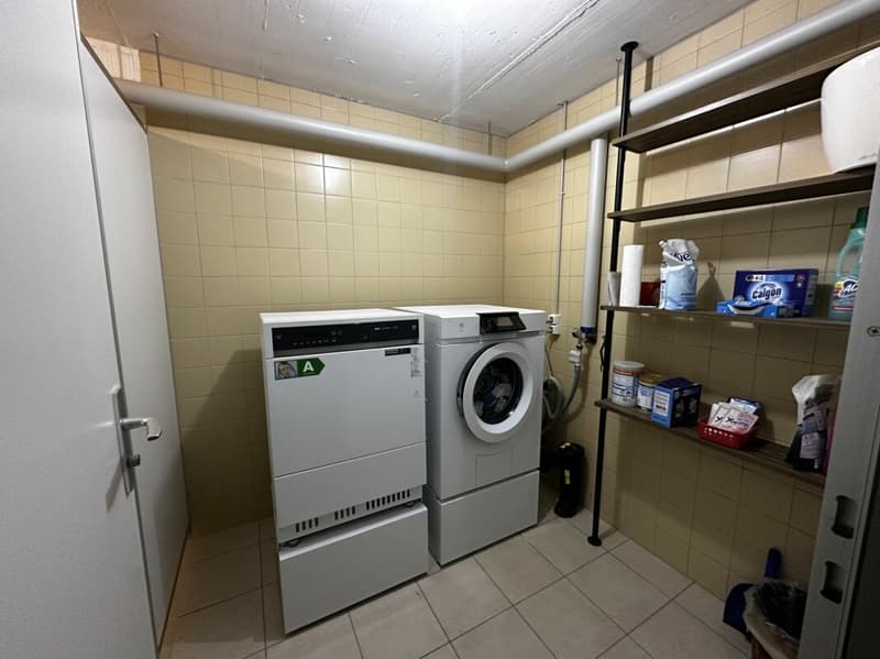 Gartenwohnung mit Wohlfühlcharakter in Volketswil (17)