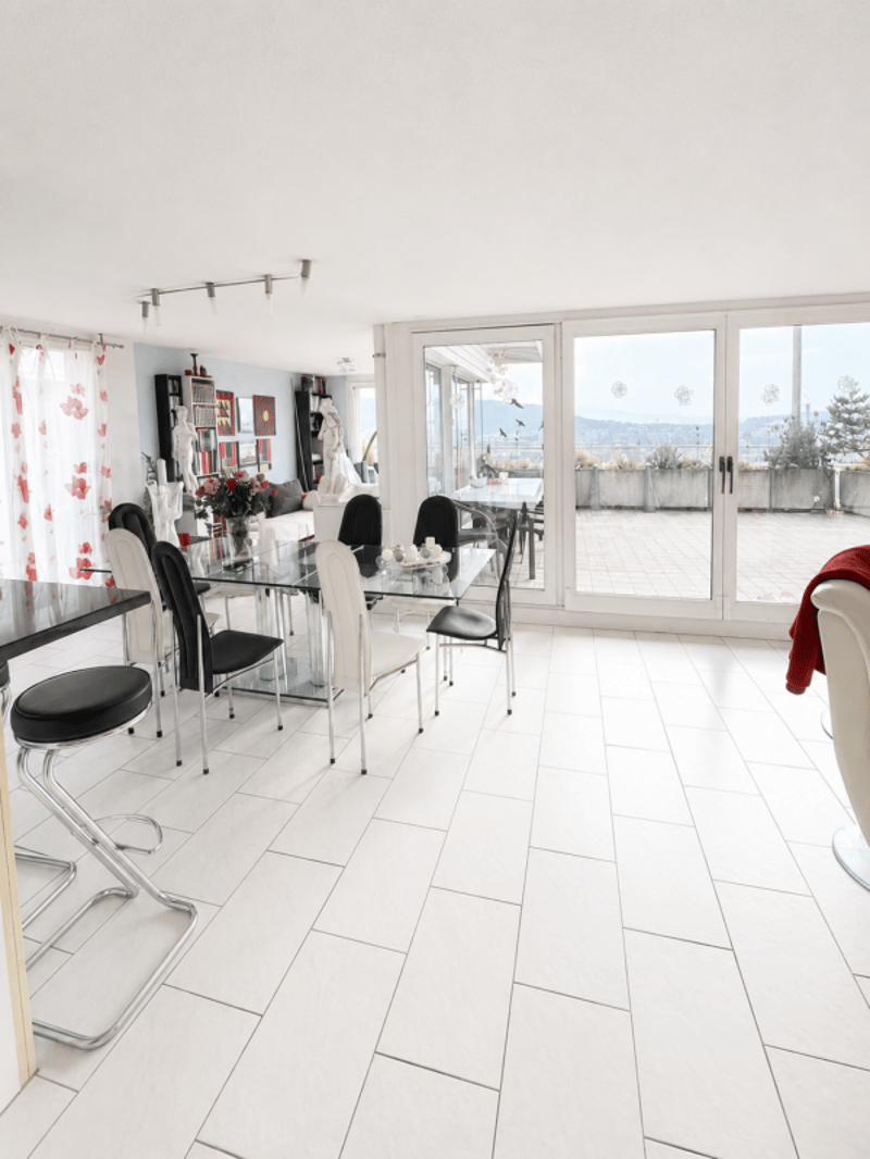 Attika Terrassenwohnung in Wallisellen (6)