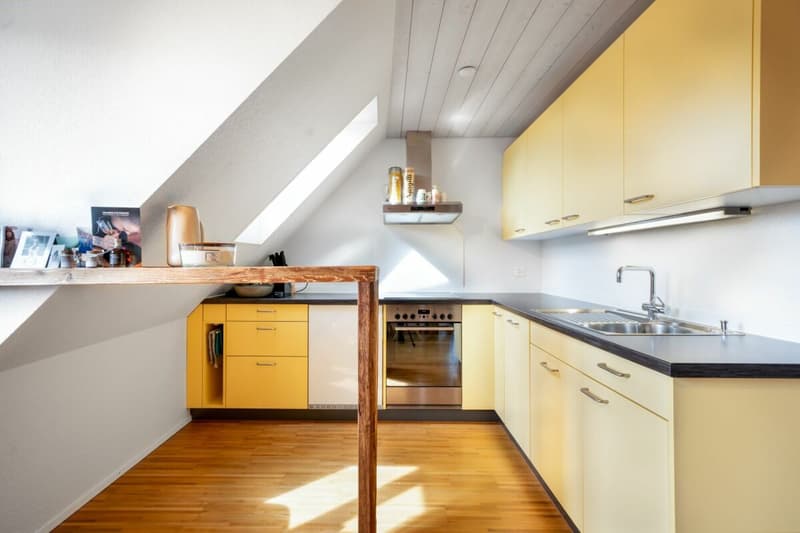 Attractive rental property in the village center (20)