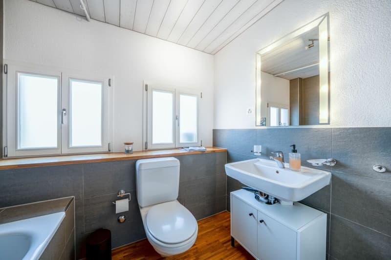 Attractive rental property in the village center (19)
