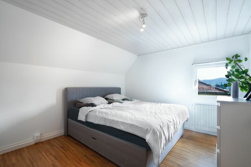 Attractive rental property in the village center (18)