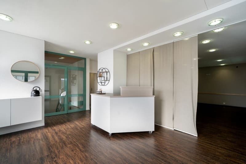 Attractive rental property in the village center (11)