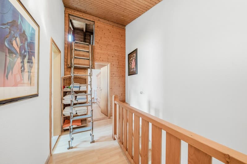 Special terraced semi-detached house with glass pavilion (16)