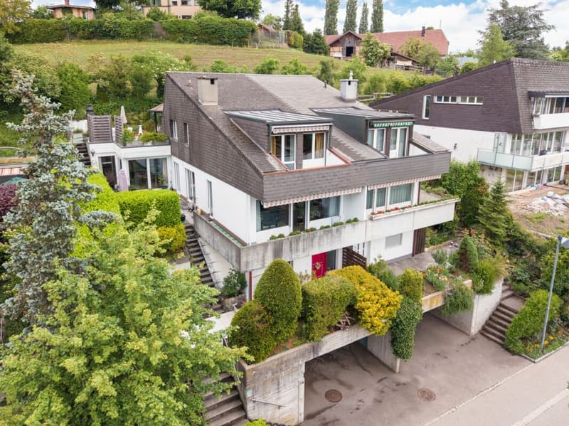 Special terraced semi-detached house with glass pavilion (1)