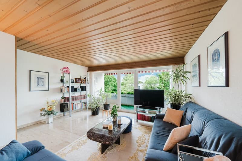 Special terraced semi-detached house with glass pavilion (8)
