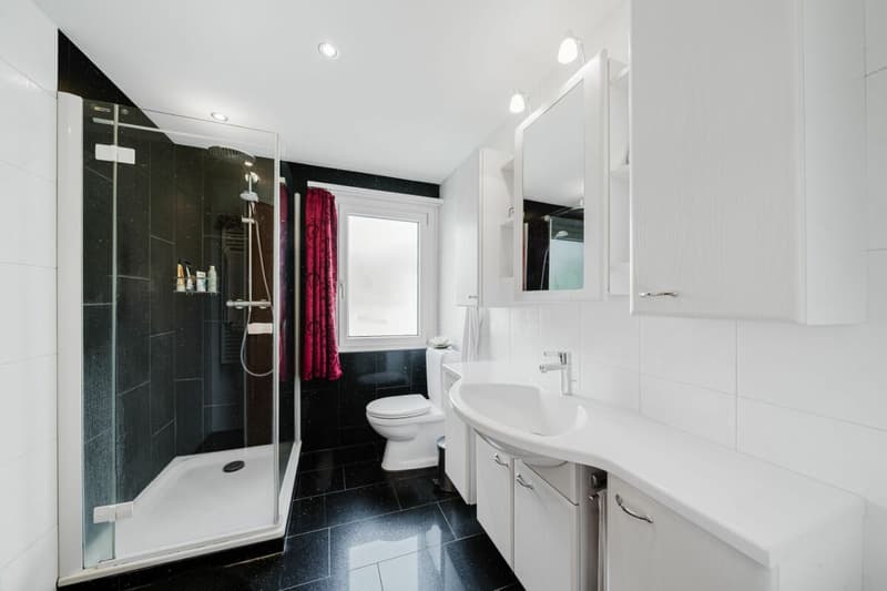Special terraced semi-detached house with glass pavilion (15)