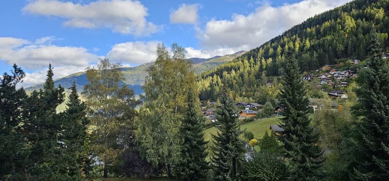 Superba appartamento di 4,5 locali nel cuore di Haute-Nendaz (13)