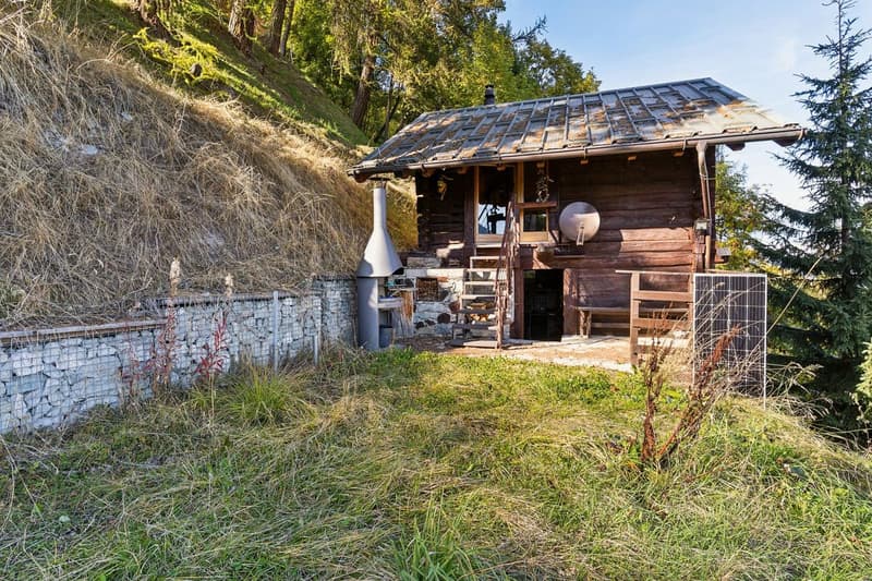Authentic Chalet with View of Dent Blanche (9)