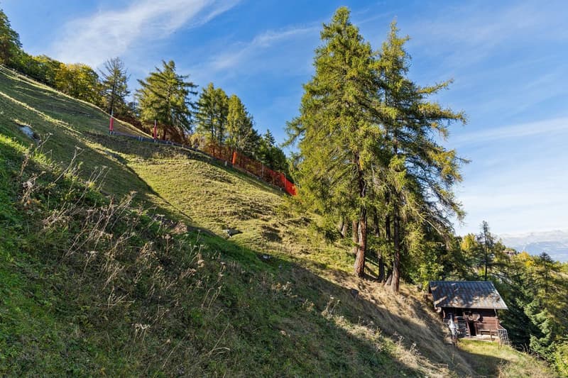 Authentic Chalet with View of Dent Blanche (5)