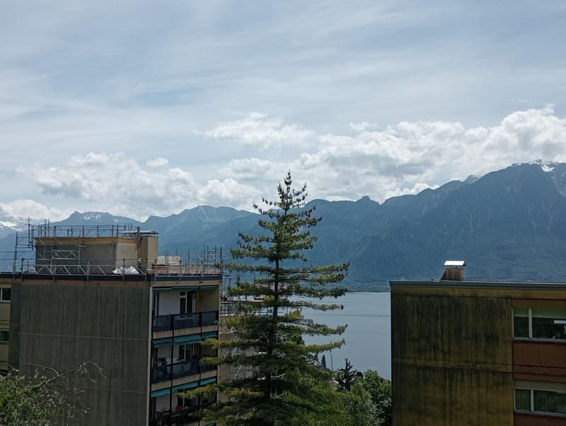 Appartamento al piano terra con vasta terrazza panoramica a Montreux (6)