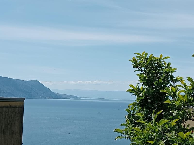 Appartamento al piano terra con vasta terrazza panoramica a Montreux (5)