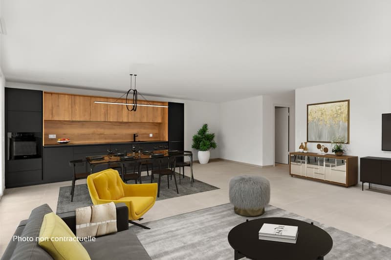 Appartamento di alta qualità con terrazza a Neuchâtel (2)