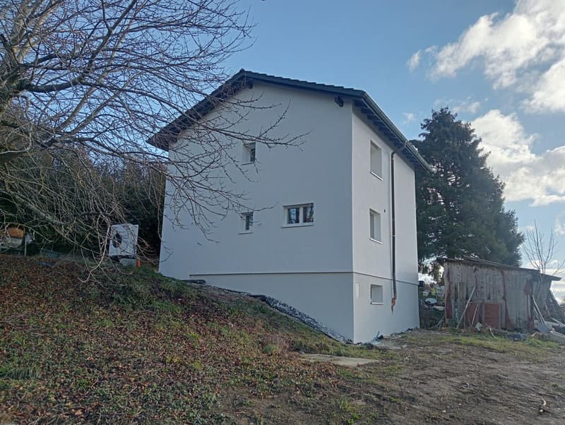 Villa individuale di 5 locali (6)