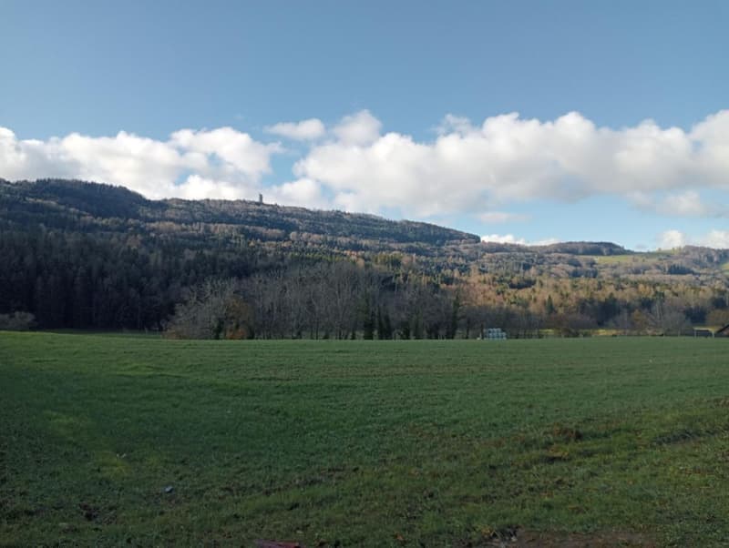 Villa individuale di 5 locali (4)