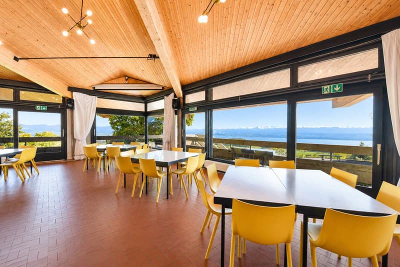 Haven of tranquility with green surroundings and panoramic view of Lake Neuchâtel (3)