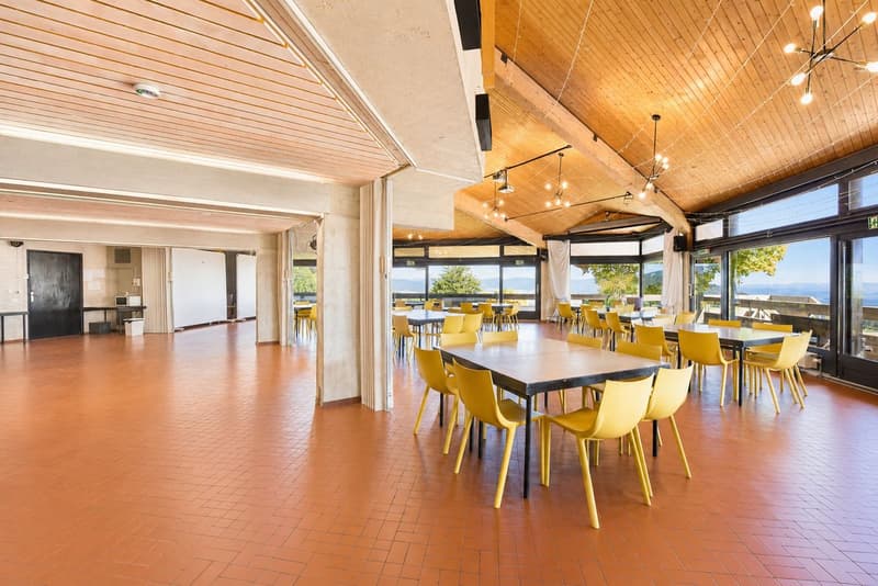 Haven of tranquility with green surroundings and panoramic view of Lake Neuchâtel (4)