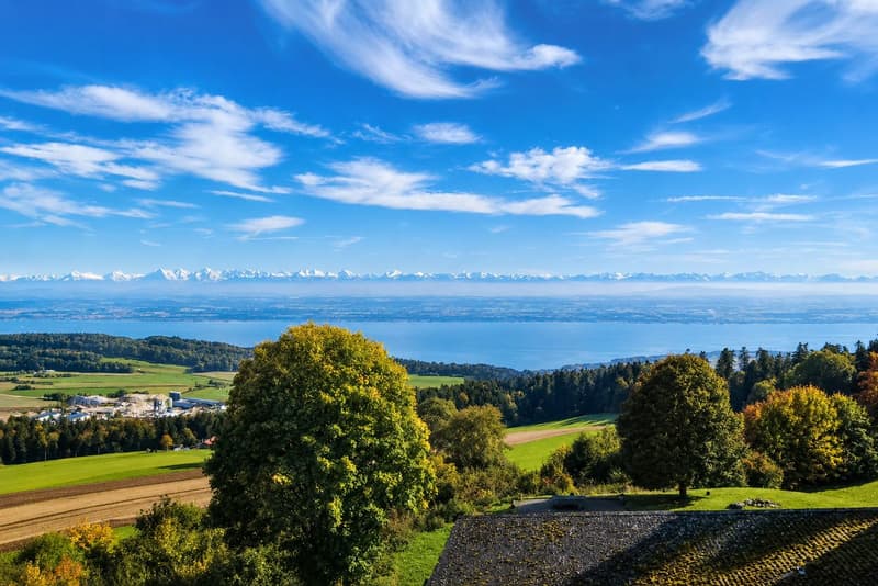 Haven of tranquility with green surroundings and panoramic view of Lake Neuchâtel (2)