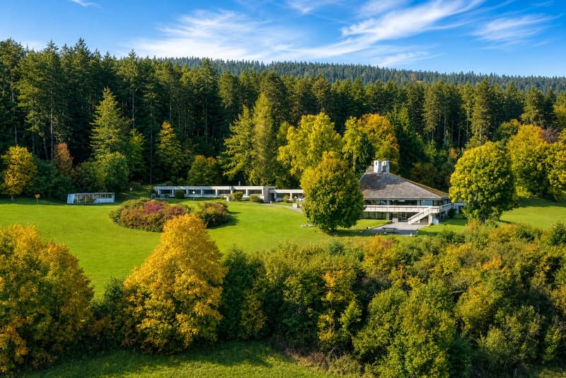 Haven of tranquility with green surroundings and panoramic view of Lake Neuchâtel (1)