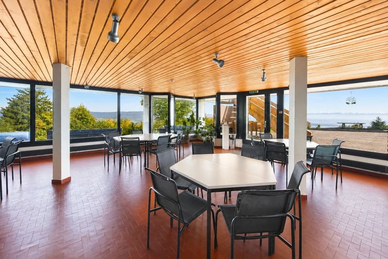 Haven of tranquility with green surroundings and panoramic view of Lake Neuchâtel (9)